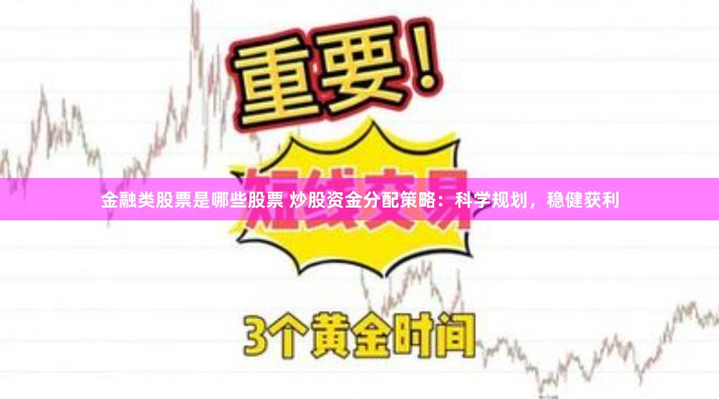 金融类股票是哪些股票 炒股资金分配策略：科学规划，稳健获利