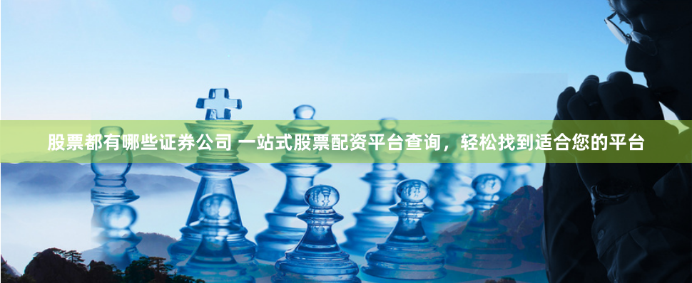 股票都有哪些证券公司 一站式股票配资平台查询，轻松找到适合您的平台