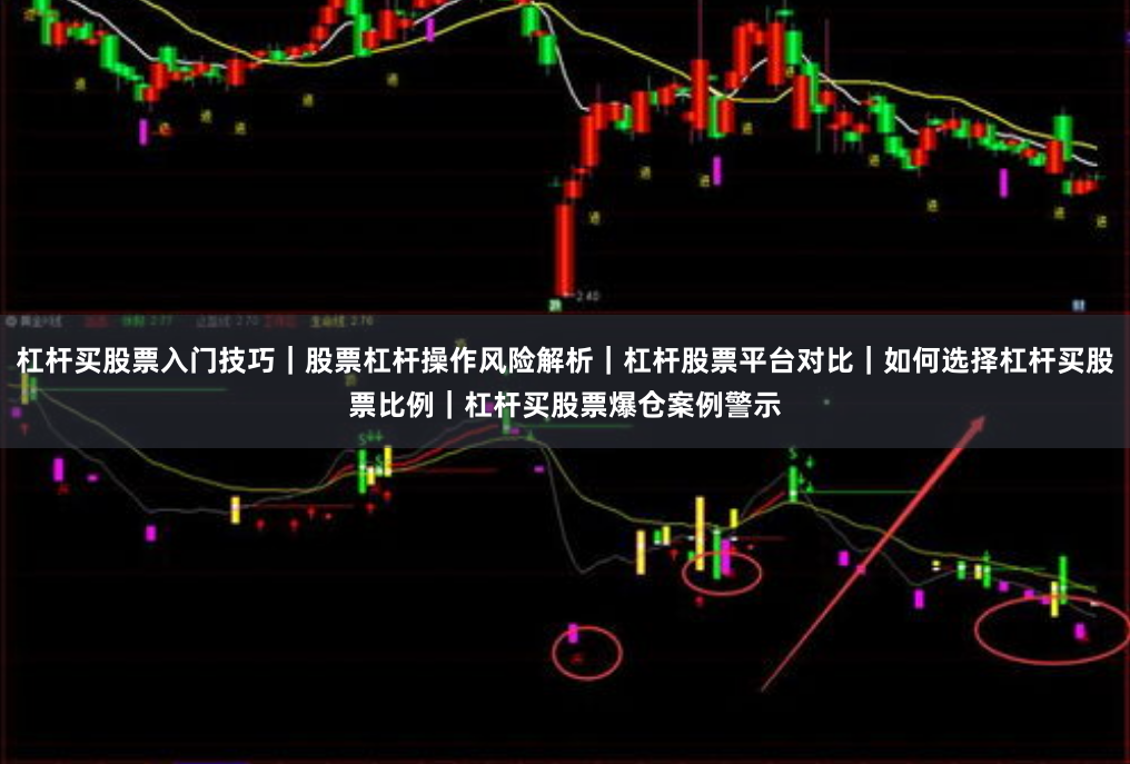 杠杆买股票入门技巧｜股票杠杆操作风险解析｜杠杆股票平台对比｜如何选择杠杆买股票比例｜杠杆买股票爆仓案例警示