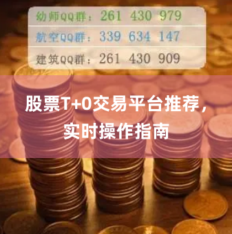 股票T+0交易平台推荐，实时操作指南