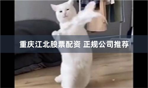 重庆江北股票配资 正规公司推荐